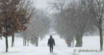 Snow squalls can create ‘treacherous conditions’ in Canada. What causes it?