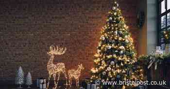 Cleaning expert shares simple Christmas tree hack to keep your home free of pine needles