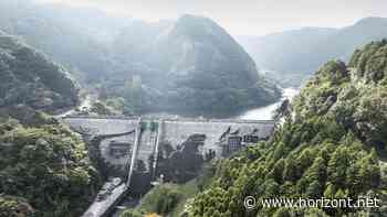 Cultural Marketing: So landet Kärcher mit Godzilla einen Werbecoup in Japan