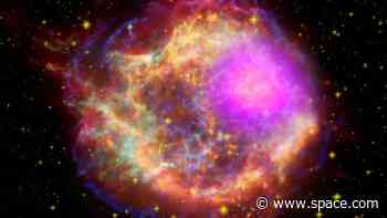Over 10,000 exploding stars catalogued by groundbreaking Zwicky Transient Facility