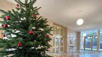 Der Neu-Ulmer Wunschbaum steht diesmal im Rathaus