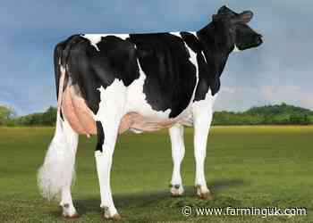 Full steam ahead for Kettle in daughter-proven Holstein rankings