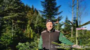 „Nach Weihnachten ist vor Weihnachten“ – Christbaumverkauf, mehr als nur ein Job?