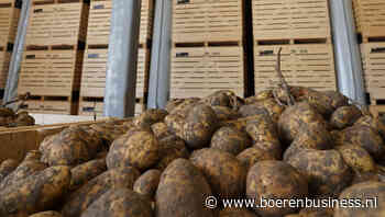 Aardappelprijs kan voor einde jaar boven €20 staan