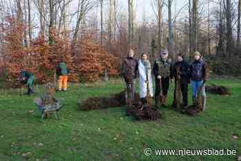 Dankzij Hugo krijgt gemeente er een nieuwe groene long bij: “Iedereen verklaarde me gek, maar ik wilde graag een bos”