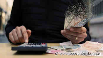 Geen paniek over onze inflatie