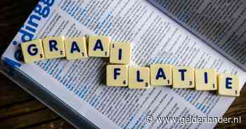 Van Dale roept zelf woord van het jaar uit en schrapt  verkiezing vanwege 'onprettige discussie'
