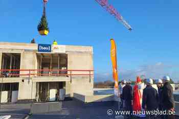 Sint helpt meiboom plaatsen op Villa Spoorbloem