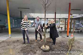 Bomen, struiken en bloemen voor basisschool ’t Kompas