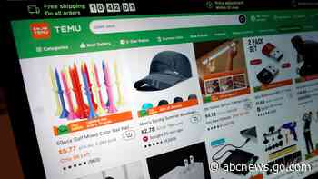 Chinese online retailer Temu suspended in Vietnam