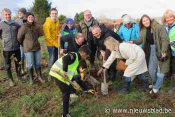 Schoolkinderen bebossen Keelveld voor nieuwe toegankelijke natuur in de Vlaamse Rand
