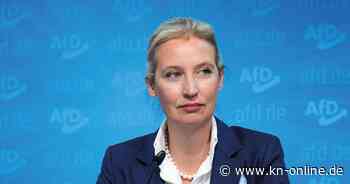 Alice Weidel in der AfD: Wer sind ihre Unterstützer, wer sind ihre Gegner?