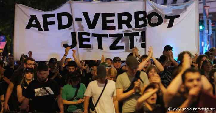 Grünen-Abgeordnete stellen neuen Antrag für AfD-Verbot vor