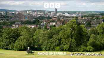 A love letter to Meersbrook Park