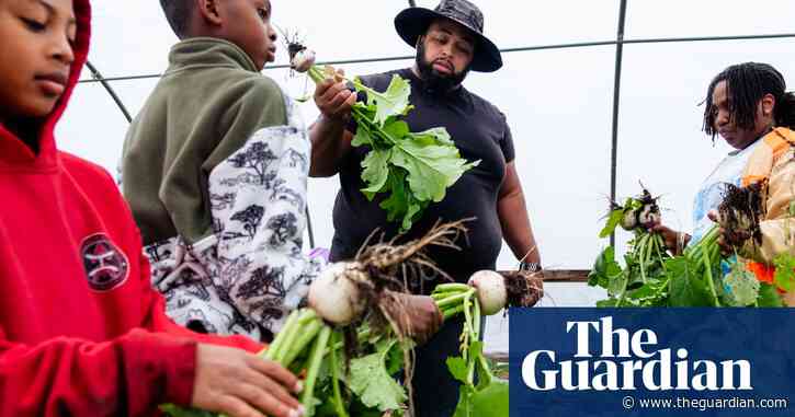 From field to farm: the US pro athletes trying their hand at agriculture