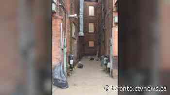 Hamilton police shut down ‘open air drug market’ they say was 'run like a business'