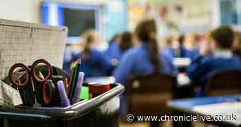 Northumberland investigation demanded as number of children with additional needs continues to rise