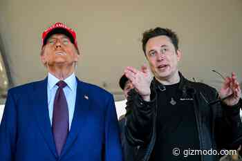 Elon Musk’s Grok Chatbot Is Free for All X Users Now