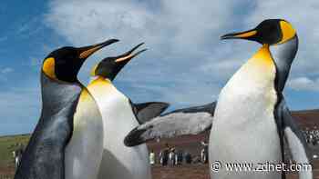 The next LTS Linux kernel is no surprise but it is packed with goodies