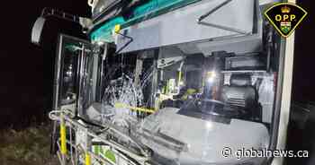 Rock thrower strikes again, passenger bus is latest victim: Ontario police