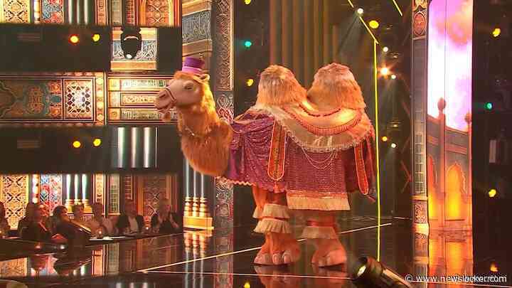 Niet één maar twee masked singers maken het podium onveilig in de Kameel