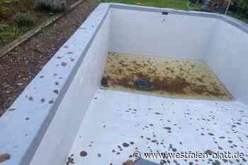 Horror-Fund: Wer hat die toten Katzen im Pool entsorgt?