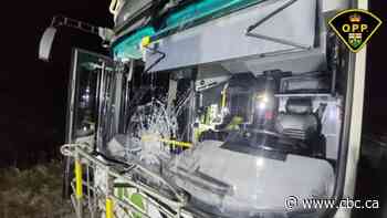 GO bus hit in latest rock throwing incident in Markham