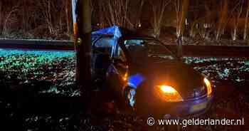 Automobilist klapt met zijkant tegen boom op N317 bij Hoog-Keppel