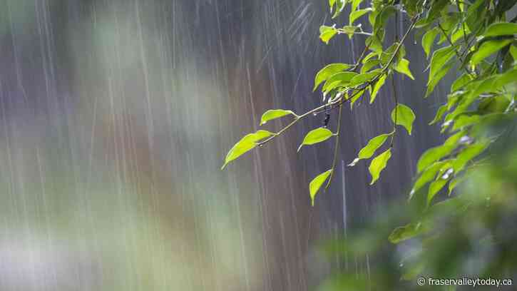 Heavy rainfall warning issued for areas between Vancouver and Abbotsford