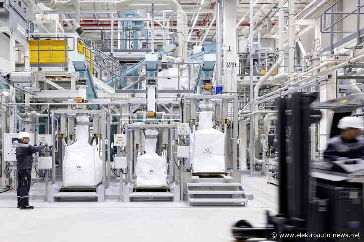 Recycling: Wie können Batterien wiederverwendet werden?