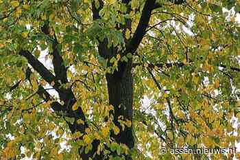 Onstuimig en regenachtig weekendweer