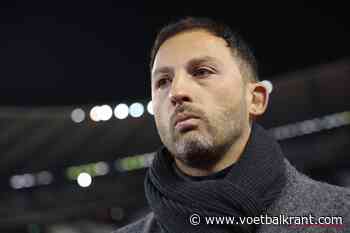 Wie wordt de opvolger van Domenico Tedesco bij een ontslag? Filip Joos en Steven Defour weten meer
