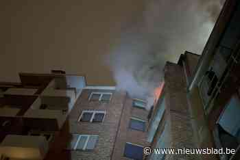 Kat overlijdt in woningbrand, bewoners ongedeerd