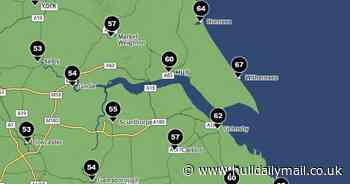 'Don't be fooled' as Storm Darragh to intensify after 'lull' in East Yorkshire