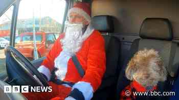 Charity's pup 'reduces stigma' of asking for help