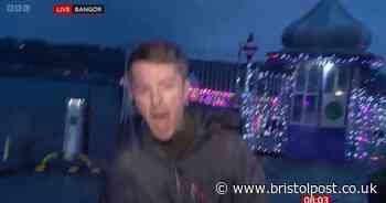 BBC reporter struggles to stand while giving report on Storm Darragh