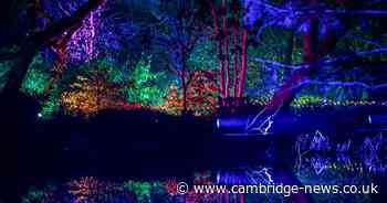Cambridge University Botanic Garden shut and light trail cancelled as Storm Darragh hits