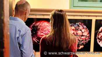 Kreativ in Nagold: So war die „Kunst auf Abwegen“-Ausstellung 2024