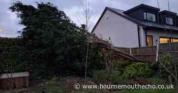 LIVE: Fallen trees, cancelled events and trains impacted by Storm Darragh