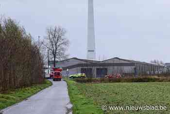 Fiets aangetroffen langs de Leie: stormweer bemoeilijkt zoekactie