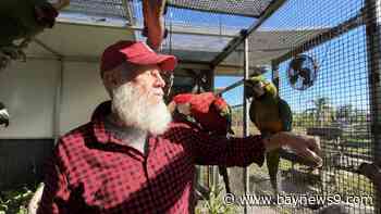 Manatee County adopts Florida program that aims to reduce veteran suicide rate