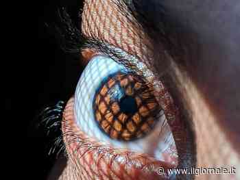 "Mosche volanti" negli occhi, il sintomo che può nascondere una grave insidia, di cosa si tratta