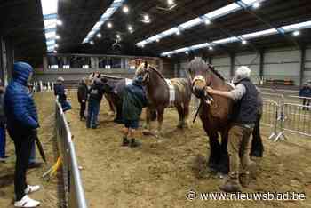 Winterjaarmarkt strijkt neer op Syntra-site, zonder ambachtelijke kraampjes
