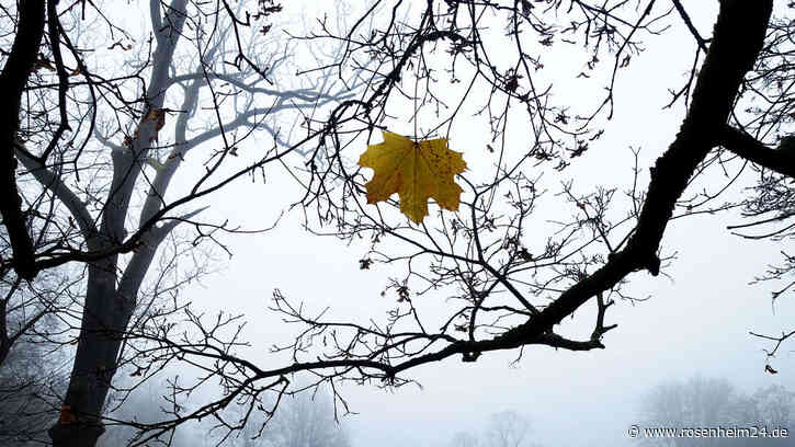 Lisa Maria Schweidler im Interview: „Eine Depression ist nichts, wofür man sich schämen muss“