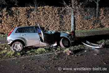 Unfall bei Beverungen: Mann (22) schwer verletzt