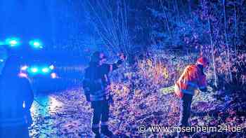 Umgestürzte Bäume, Unfälle: „Schmuddelwetter“ führte zu etlichen Feuerwehreinsätzen