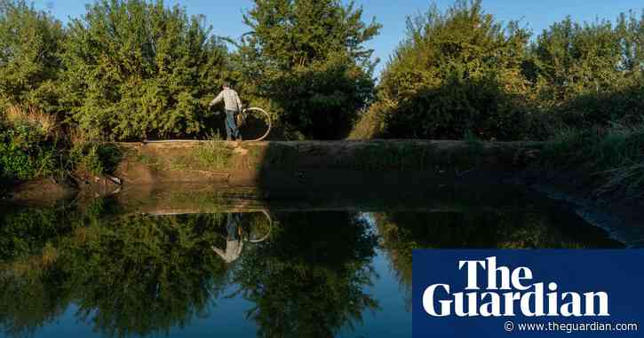 Trump’s policies ‘should be turning off farmers’ – why did so many vote for him?