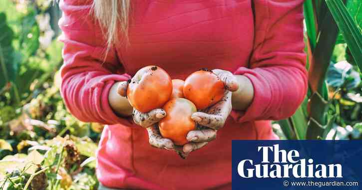 ‘Let things go feral’: how to do carbon-positive gardening in your own back yard