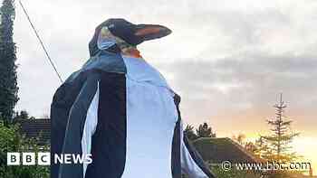 Big penguin adorns village phone box for Christmas