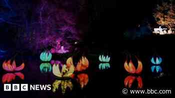 Garden lights aim to show trees in a 'different way'